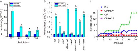 Plantaricin A Derived From Lactiplantibacillus Plantarum Reduces The