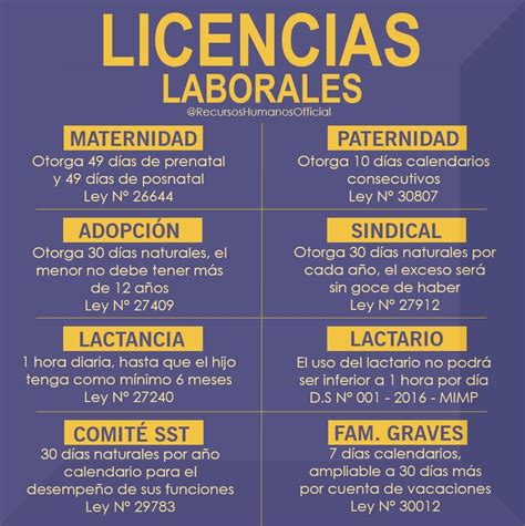 Licencia De Paternidad 2024 Mexico Image To U