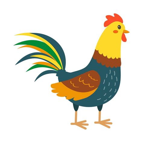 Colorful Rooster Domestic Bird Vector Illustration 20436925 Vector