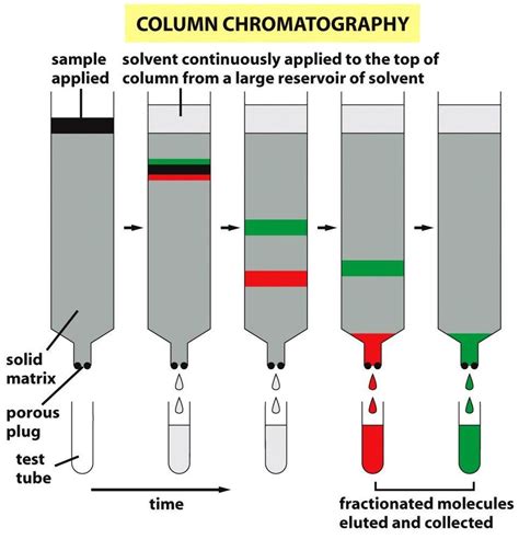 Column Chromatography Images