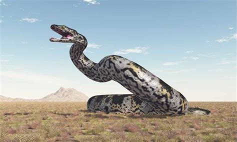 Fakta Titanoboa Spesies Ular Terbesar Yang Pernah Hidup Di Muka Bumi