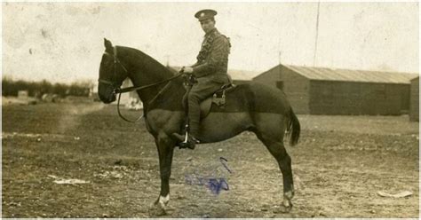 The Real War Horse: WWI Grave Saved From Development Plans | War ...