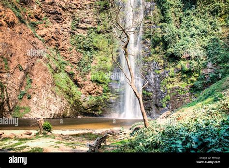 The beautiful Wli waterfall in the Volta Region in Ghana Stock Photo ...