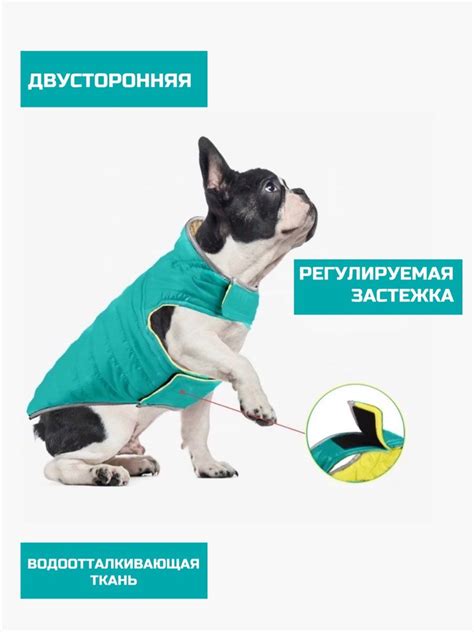 Куртка для собак - купить с доставкой по выгодным ценам в интернет ...