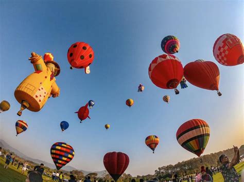 เทศกาลบอลลนนานาชาต สงหปารค เชยงราย Singha Park Chiangrai