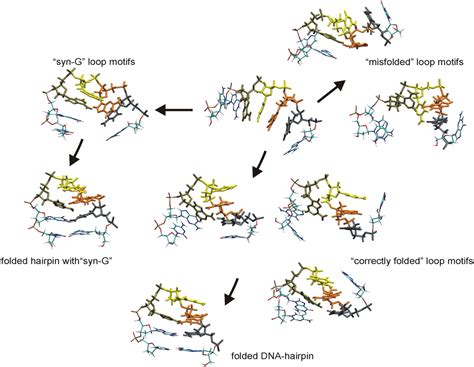 Folding Of A DNA Hairpin Loop Structure In Explicit Solvent Using