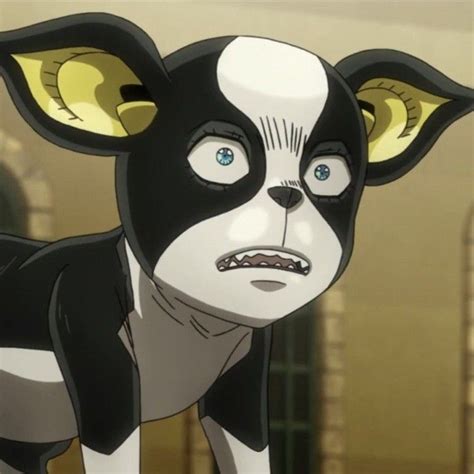 Iggy Icon Jojo Bizarre Jojos Bizarre Adventure Jojo Parts