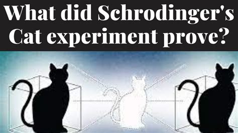 What Did Schrodinger S Cat Experiment Prove Youtube