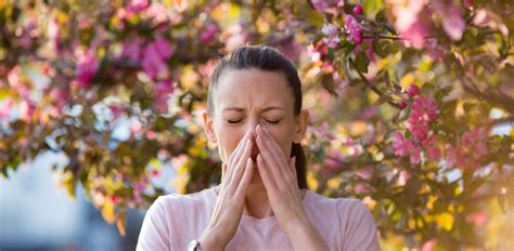 Allergie Wenn Das Immunsystem Verr Ckt Spielt Deine Apotheke