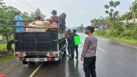 Petugas Gabungan Lakukan Pemeriksaan Hewan Ternak Diperbatasan Blora