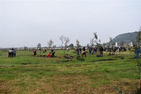 En Valle De Chalco Se Siembran Mas De Mil Arboles Con La Idea De