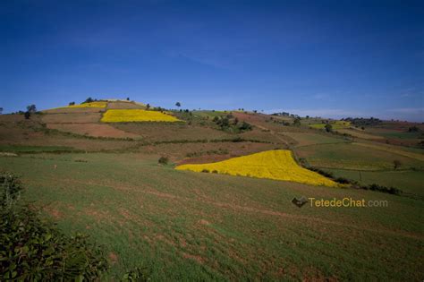 Trekking à Kalaw Myanmar voyage TetedeChat