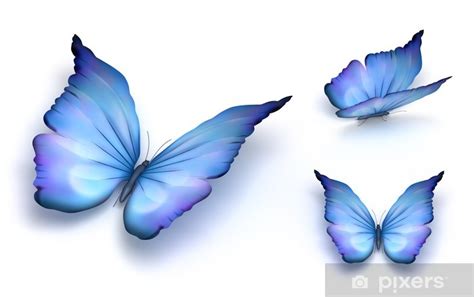 Wall Mural Blue Butterfly Isolated On White 3d Render Pixersnetau