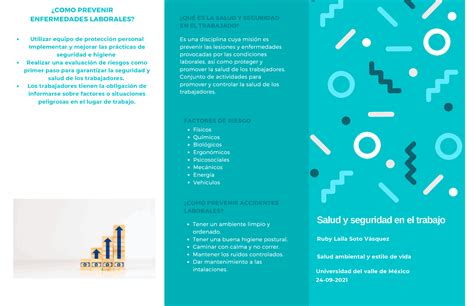 Actividad 1 Salud Ambiental Y Estilo De Vida Esquemas Y Mapas Conceptuales De Psicología De La