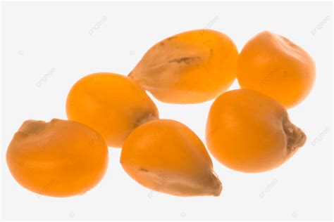 Super Macro Png Vector Psd And Clipart With Transparent Background
