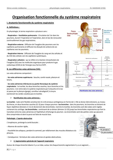 SOLUTION Physiologie Respiratoire Studypool