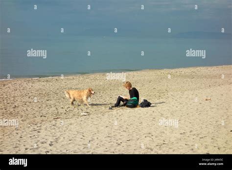 Junge blonde frau mit hund Fotos und Bildmaterial in hoher Auflösung Alamy
