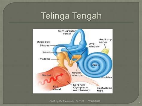 Peradangan telinga tengah