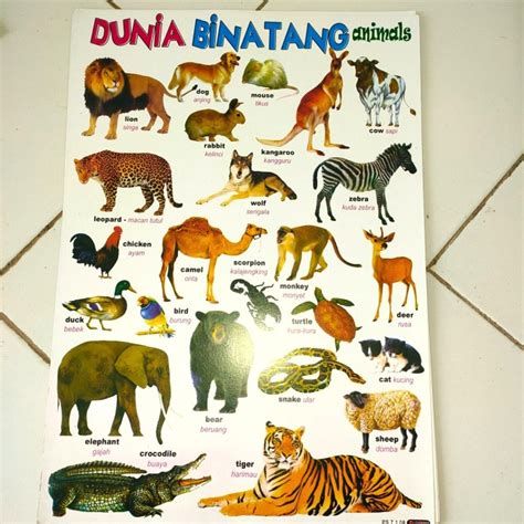 Jual poster hewan/gambar binatang/belajar edukasi mengenal nama hewan - Kab. Bekasi - Sulthan ...