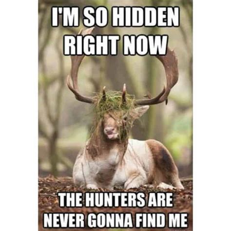 The 20 Best Deer Hunting Memes So Far