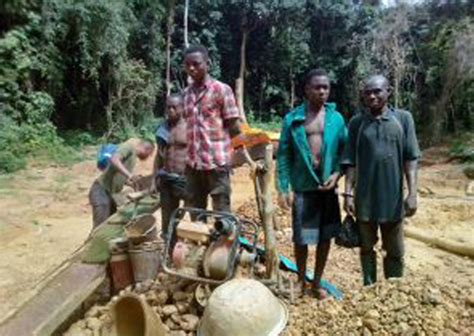 12 Illegal Miners Grabbed In Er Dailyguide Network