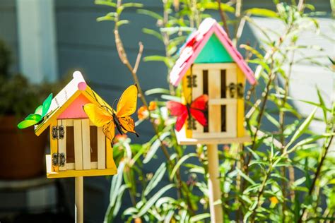 How To Diy Butterfly House