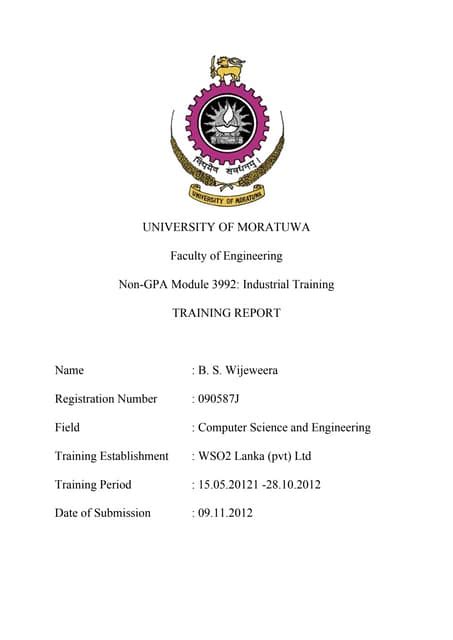 Information Technology Internship Report