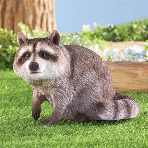 Sitting Raccoon Garden Statue Collections Etc