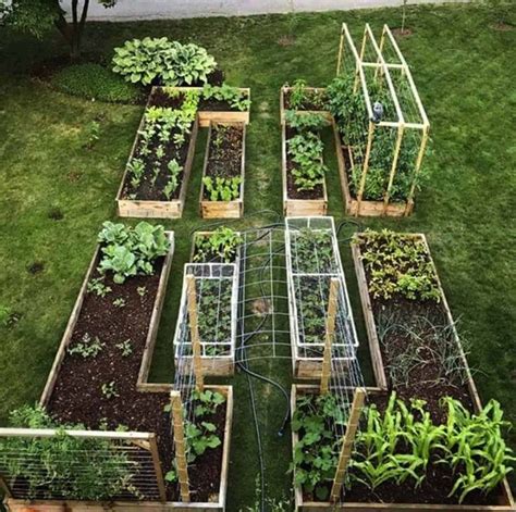 36 Amazing Ideas For Growing A Vegetable Garden In Your Backyard | Garden planning, Vegetable ...