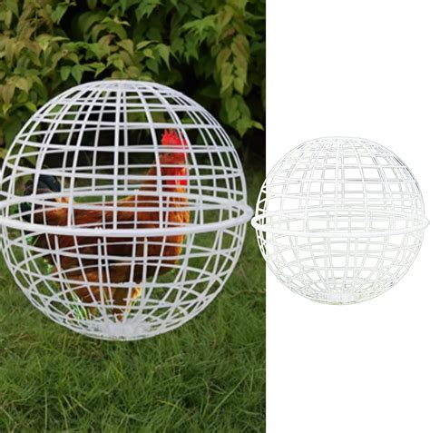 Amazon MANON ROSA Chicken Ball Cage Rolling Orb Cages Spherical