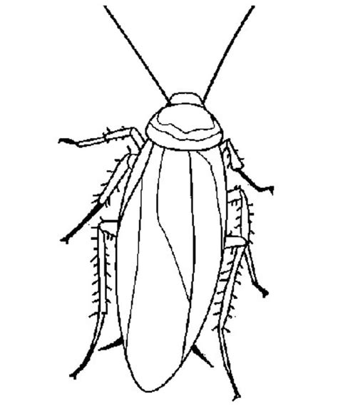 Dibujos De Cucaracha Feliz Para Colorear Para Colorear Pintar E Porn