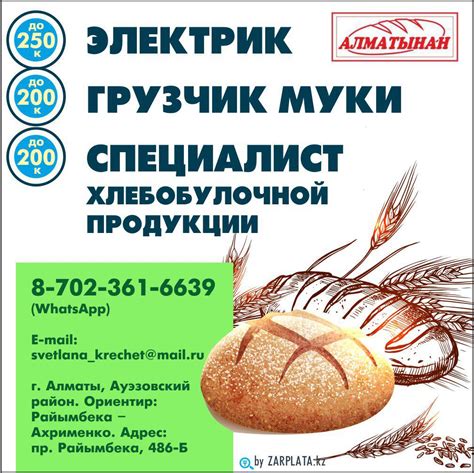 Работа в Алматы (Вакансии) | СРОЧНО 🚨 #зарплата #работа #срочно # ...