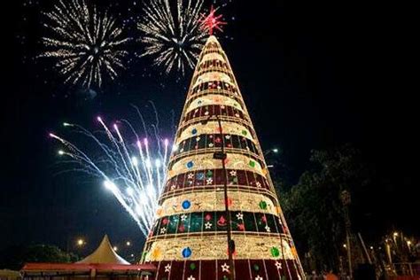 Rvore De Natal Do Ibirapuera Ser Inaugurada S Bado