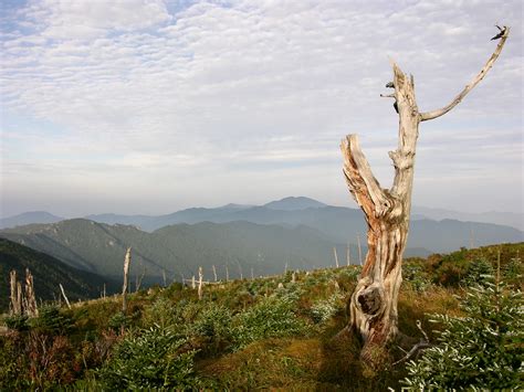 Jirisan National Park | South Korea 대한민국 | Outdoors Korea