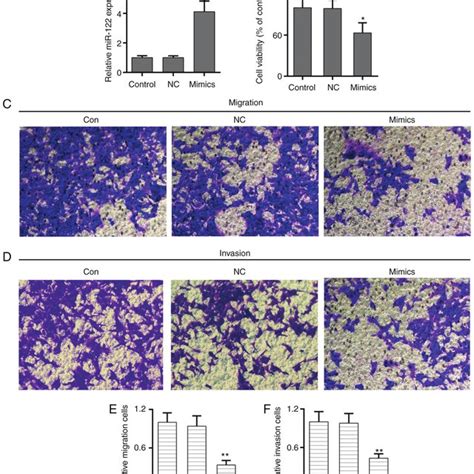 Mir 122 Suppresses Cell Proliferation Migration And Invasion In Npc