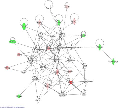 Top Network Identified By Ingenuity Pathway Analysis Using DEGs From M