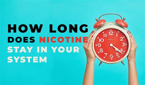 How Long Does Nicotine Stay In Your System