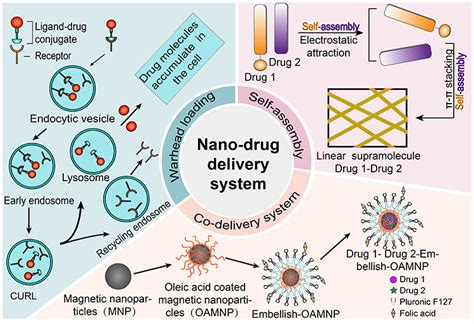 Full Article Nano Drug Delivery Systems Based On Natural Products