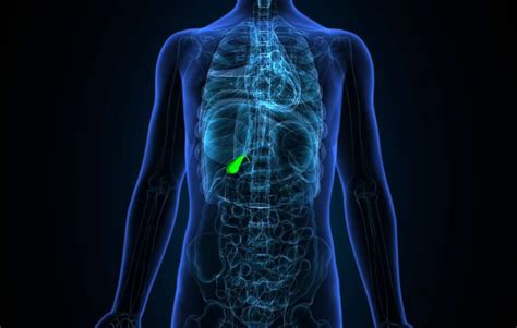 Cholécystite Symptômes Diagnostic et Options de Traitement