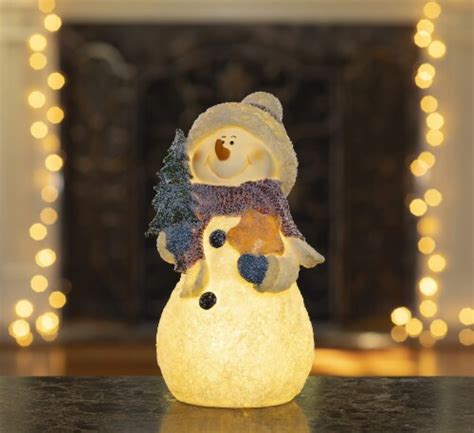 Vp Home Glowing Snowman With Christmas Tree Led Holiday Light Up