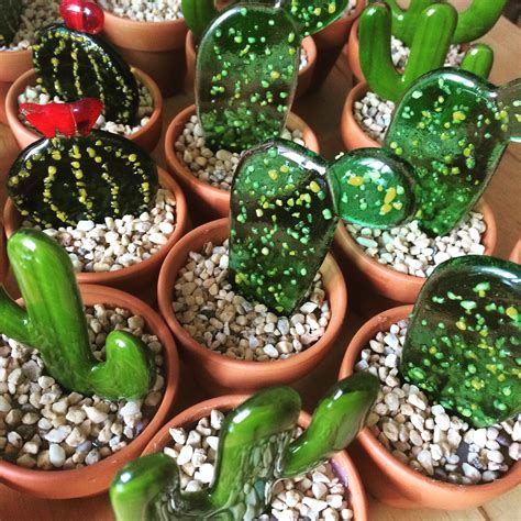 Fused Glass Cactus In Terracotta Pot Rivelin Arts