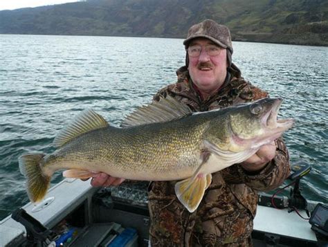 Columbia River Walleye Fishing