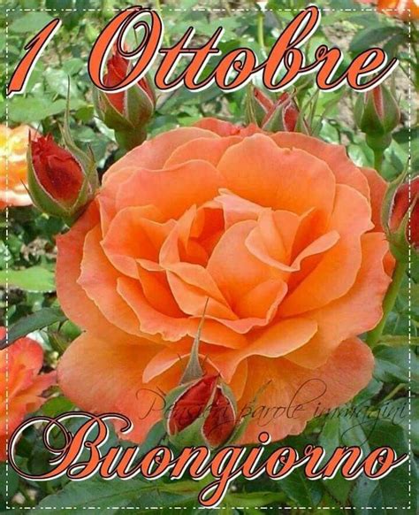 Pin Di Elisabetta Su 1 Ottobre Auguri Di Buongiorno Buongiorno