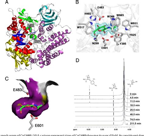 Figure 1 From Structural And Mechanistic Insight Into The Basis Of