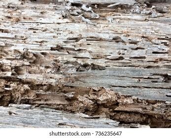 Photo De Stock Old Natural Crack Wood Texture Background