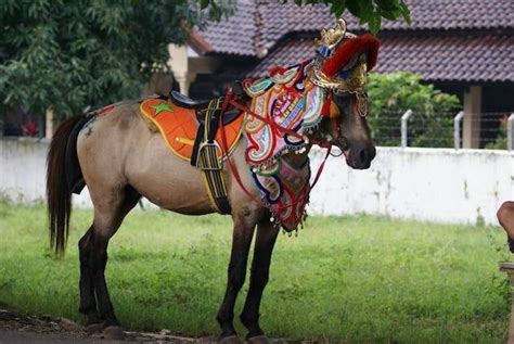 3 Manfaat Keberagaman Budaya Di Indonesia Kumparan