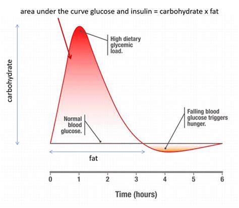 Comparing Theories Carb Insulin Model And Protein Leverage Hypothesis In Obesity Optimising