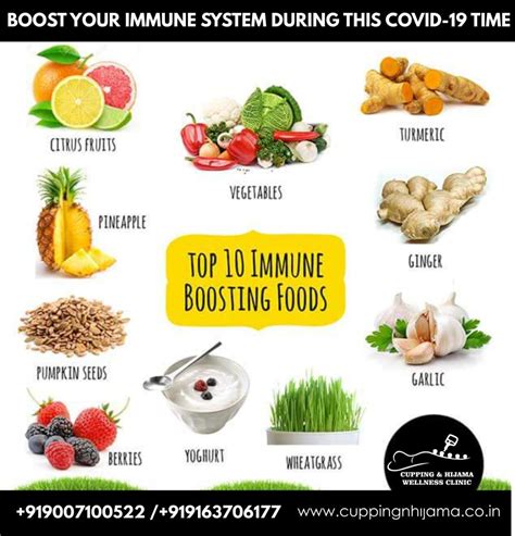 Top 10 Immune Boosting Foods Food Pyramid 47 Off