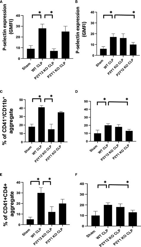 Frontiers Sex Related Differences In The Response Of Anti Platelet