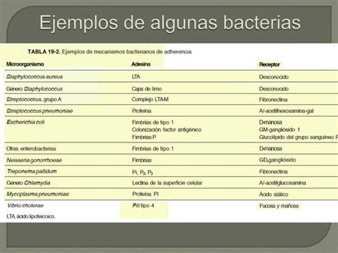 Factores De Patogenicidad Ppt